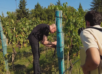 "Among Georgian wines, there is special interest in Kvevri wine" - German wine master