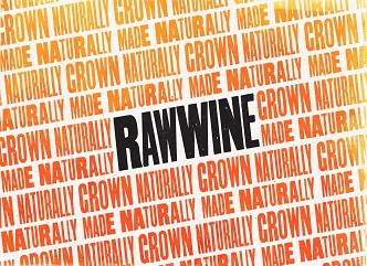 Georgian wine was presented at the international natural wine exhibition held in Italy