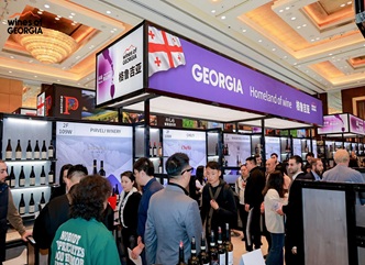 With the support of the National Wine Agency, Georgian wine was presented in China 