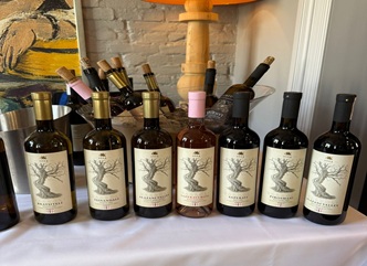 Georgian wine presented to HoReCa sector representatives in Poland