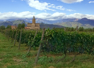 Updating Vineyard Cadastral Data Continues – National Wine Agency